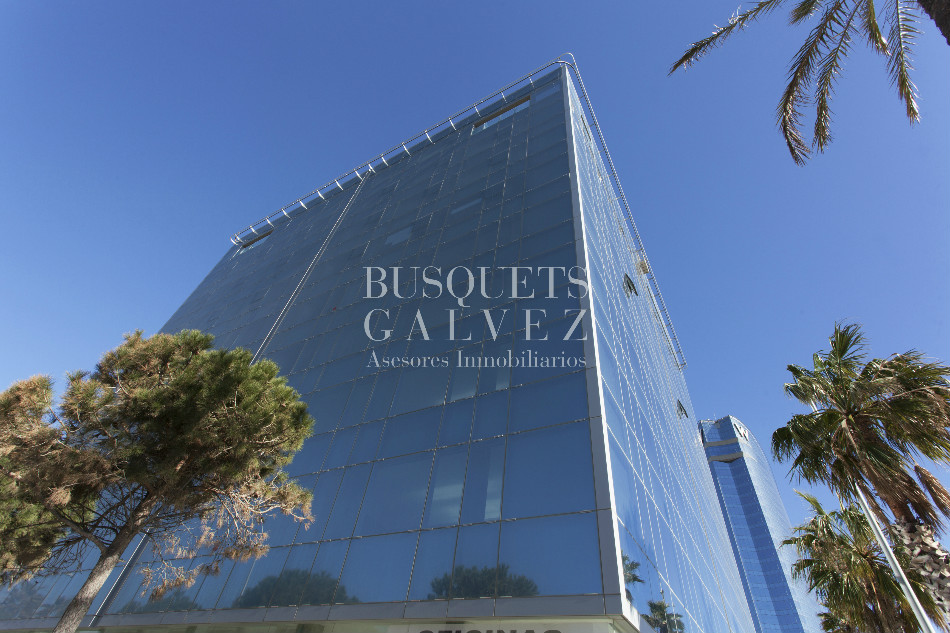OceanPlanta4B 02 AltaRes MarcaAgua