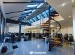 The Mind Hub